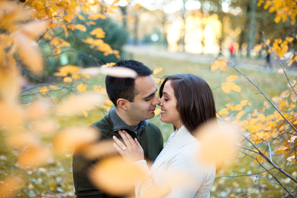 Posted in Engagement session by New York Wedding Photographer Tags central